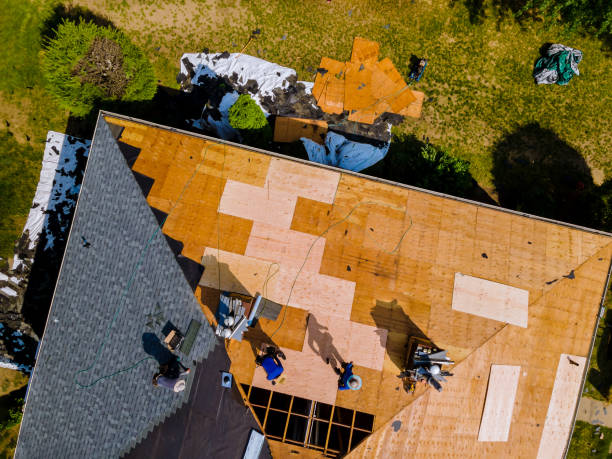 Best Roof Repair Services  in Cuba City, WI