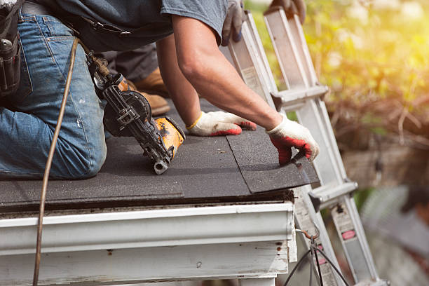 Best Roof Gutter Cleaning  in Cuba City, WI